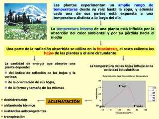 Las plantas experimentan un amplio rango de
                               temperaturas desde su raíz hasta la copa, y además
                               cada una de sus partes está expuesta a una
                               temperatura distinta a lo largo del día


                              La temperatura interna de una planta está influida por la
                              absorción del calor ambiental y por su pérdida hacia el
                              medio


 Una parte de la radiación absorbida se utiliza en la fotosíntesis, el resto calienta las
                      hojas de las plantas y el aire circundante

La cantidad de energía que absorbe una
planta depende:                                    La temperatura de las hojas influye en la
                                                           actividad fotosintética
   del índice de reflexión de las hojas y la
corteza,                                                                  Relación entre tasa fotosintética y temperatura

                                                                     20
  de la orientación de sus hojas,
                                                                                          Tº ópt
  de la forma y tamaño de las mismas                                 15                                                     -10



                                                      Fotosíntesis
                                                                                                                            0
                                                                                                                            20
                                                                     10
                                                                                                                            30
                                                                                                                            40
deshidratación
                             ACLIMATACIÓN                             5                                                     50


aislamiento térmico                                      Tº mín
                                                            0                                             Tº máx
                                                                      -10        0        20       30       40       50
sustancias anticongelantes                                                             Temperatura (ºC)

transpiración
 