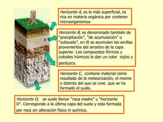 Horizonte A, es la más superficial, es
                       rica en materia orgánica por contener
                       microorganismos

                       Horizonte B, es denominado también de
                       “precipitación”, “de acumulación” o
                       “subsuelo”, en él se acumulan las arcillas
                       provenientes del arrastre de la capa
                       superior. Los compuestos férricos y
                       coloides húmicos le dan un color rojizo y
                       parduzco.

                       Horizonte C, contiene material como
                       resultado de la meteorización, el mismo
                       o distinto del que se cree que se ha
                       formado el suelo.

Horizonte D, se suele llamar “roca madre” u “horizonte
D”. Corresponde a la última capa del suelo y esta formada
por roca sin alteración física ni química.
 