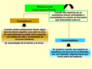 Relaciones
                             interespecíficas
                                                 Cuando dos especies de un
                                              ecosistema tienen actividades o
                                             necesidades en común es frecuente
                                                  que interactúen entre sí.
             Competencia


 Cuando ambas poblaciones tienen algún
tipo de efecto negativo una sobre la otra.
Es especialmente acusada entre especies
   con estilos de vida y necesidades de
            recursos similares.
                                                       Comensalismo.
 Ej. escarabajos de la harina y el arroz.


                                               Se produce cuando una especie se
                                              beneficia y la otra no se ve afectada.
                                              Así, por ejemplo, algunas lapas que
                                                    viven sobre las ballenas.
 
