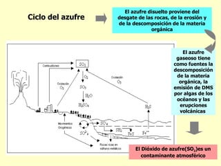 El azufre disuelto proviene del
Ciclo del azufre   desgate de las rocas, de la erosión y
                   de la descomposición de la materia
                                orgánica



                                             El azufre
                                           gaseoso tiene
                                          como fuentes la
                                          descomposición
                                           de la materia
                                            orgánica, la
                                          emisión de DMS
                                          por algas de los
                                           océanos y las
                                            erupciones
                                            volcánicas




                          El Dióxido de azufre(SO2)es un
                             contaminante atmosférico
 