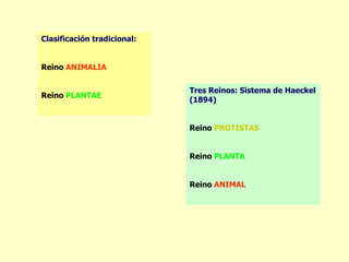 Clasificación tradicional:


Reino ANIMALIA

                             Tres Reinos: Sistema de Haeckel
Reino PLANTAE
                             (1894)


                             Reino PROTISTAS


                             Reino PLANTA


                             Reino ANIMAL
 