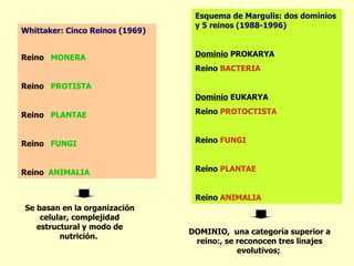 Esquema de Margulis: dos dominios
                                  y 5 reinos (1988-1996)
Whittaker: Cinco Reinos (1969)


Reino MONERA                      Dominio PROKARYA
                                  Reino BACTERIA

Reino PROTISTA
                                  Dominio EUKARYA

Reino PLANTAE                     Reino PROTOCTISTA



Reino FUNGI                       Reino FUNGI



Reino ANIMALIA                    Reino PLANTAE


                                  Reino ANIMALIA
Se basan en la organización
    celular, complejidad
   estructural y modo de
                                 DOMINIO, una categoría superior a
         nutrición.
                                  reino:, se reconocen tres linajes
                                             evolutivos;
 