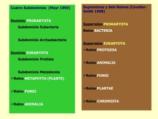 Cuatro Subdominios (Mayr 1990)   Suprareinos y Seis Reinos (Cavalier-
                                 Smith 1998)

Dominio PROKARYOTA
                                 Superreino PROKARYOTA
   Subdominio Eubacteria
                                 Reino BACTERIA

   Subdominio Archaebacteria
                                 Superreino EUKARYOTA
                                 Reino PROTOZOA
Dominio EUKARYOTA
   Subdominio Protista
                                 Reino ANIMALIA

   Subdominio Metabionta
                                 Reino FUNGI
Reino METAPHYTA (PLANTS)

                                 Reino PLANTAE
Reino FUNGI

                                 Reino CHROMISTA
Reino ANIMALIA
 