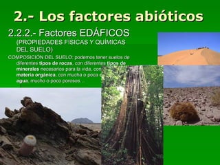 2.- Los factores abióticos
2.2.2.- Factores EDÁFICOS
   (PROPIEDADES FÍSICAS Y QUÍMICAS
   DEL SUELO)
COMPOSICIÓN DEL SUELO: podemos tener suelos de
  diferentes tipos de rocas, con diferentes tipos de
  minerales necesarios para la vida, con mucha o poca
  materia orgánica, con mucha o poca cantidad de
  agua, mucho o poco porosos…
 