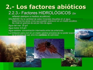 2.- Los factores abióticos
2.2.3.- Factores HIDROLÓGICOS                                        (Se
   refieren siempre a medios acuáticos)
SALINIDAD: Es la cantidad de sales minerales disueltas en el agua.
    Determina los seres vivos que pueden sobrevivir en un medio acuático.
    Se mide en gramos de sal por litro de agua.
Agua del mar: 35 gr/l
Agua dulce: 0,5 gr/l
Agua salobre: concentración intermedia entre las anteriores.
La limitación para vivir en un medio salobre proviene de no poder soportar,
    no el exceso de sal, sino los cambios de salinidad.
 