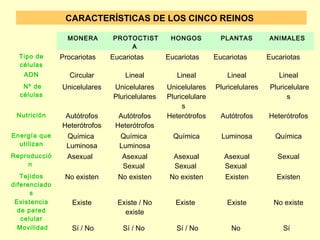 CARACTERÍSTICAS DE LOS CINCO REINOS

                 MONERA         PROTOCTIST       HONGOS           PLANTAS        ANIMALES 
                                    A
  Tipo de      Procariotas     Eucariotas       Eucariotas      Eucariotas       Eucariotas
  células
   ADN            Circular         Lineal          Lineal           Lineal          Lineal
   Nº de        Unicelulares   Unicelulares     Unicelulares    Pluricelulares    Pluricelulare
  células                      Pluricelulares   Pluricelulare                           s
                                                     s  
 Nutrición      Autótrofos       Autótrofos     Heterótrofos      Autótrofos     Heterótrofos
               Heterótrofos     Heterótrofos
Energía que      Química         Química          Química         Luminosa         Química
  utilizan       Luminosa        Luminosa
Reproducció      Asexual          Asexual         Asexual          Asexual          Sexual
    n                             Sexual          Sexual           Sexual 
   Tejidos      No existen       No existen      No existen        Existen          Existen
diferenciado
      s
 Existencia       Existe         Existe / No       Existe           Existe         No existe
  de pared                         existe
   celular
  Movilidad        Sí / No        Sí / No          Sí / No           No               Sí  
 