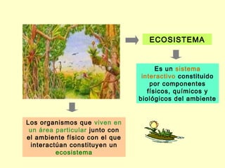 ECOSISTEMA


                                      Es un sistema
                                 interactivo constituido
                                    por componentes
                                   físicos, químicos y
                                biológicos del ambiente


Los organismos que viven en
 un área particular junto con
el ambiente físico con el que
 interactúan constituyen un
         ecosistema
 