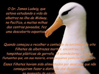 Quando começou a recolher o conteúdo do estômago de oito filhotes de albatrozes mortos, encontrou: 42 tampinhas plásticas de garrafa, 18 acendedores e restos  flutuantes que, em sua maioria, eram pequenos pedaços de plástico.  O Dr. James Ludwig, que estava estudando a vida do albatroz na ilha de Midway, no Pacífico, a muitas milhas dos centros povoados, fez uma descoberta espantosa. Esses filhotes haviam sido alimentados por seus pais que não conseguiram fazer a distinção dos desperdícios no momento de escolher o alimento. 