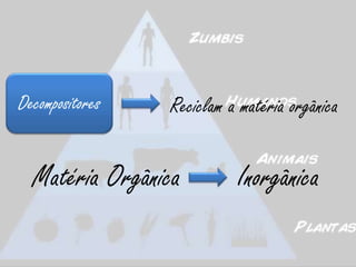 Decompositores   Reciclam a matéria orgânica


  Matéria Orgânica         Inorgânica
 