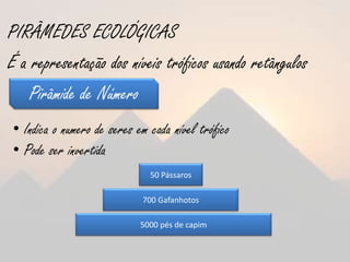 PIRÂMEDES ECOLÓGICAS
É a representação dos níveis tróficos usando retângulos
   Pirâmide de Número
 • Indica o numero de seres em cada nível trófico
 • Pode ser invertida
                               50 Pássaros

                             700 Gafanhotos

                             5000 pés de capim
 