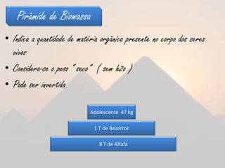 Pirâmide de Biomassa
• Indica a quantidade de matéria orgânica presente no corpo dos seres
  vivos
• Considera-se o peso “ seco” ( sem h2o )
• Pode ser invertida

                             Adolescente 47 kg

                              1 T de Bezerros

                                8 T de Alfafa
 