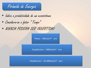 Pirâmide de Energia
• Indica a produtividade de um ecossistema
• Considera-se o fator “ Tempo”
• NUNCA PODERA SER INVERTIDA!

                          Peixes – 40Kcal/m² - ano



                        Zooplâncton – 590Kcal/m² - ano




                      Fitoplâncton – 36.380Kcal/m² - ano
 