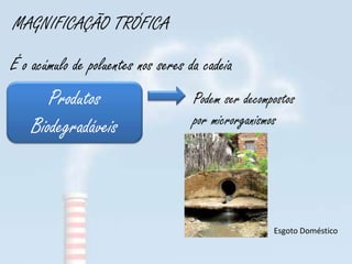 MAGNIFICAÇÃO TRÓFICA

É o acúmulo de poluentes nos seres da cadeia
       Produtos                     Podem ser decompostos
    Biodegradáveis                  por microrganismos




                                                    Esgoto Doméstico
 
