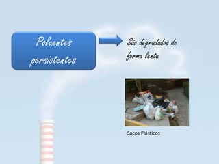 Poluentes     São degradados de
persistentes   forma lenta




               Sacos Plásticos
 