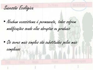 Sucessão Ecológica

• Nenhum ecossistema é permanente, todos sofrem
  modificações sendo elas abruptas ou graduais

• Os seres mais simples são substituídos pelos mais
  complexos
 