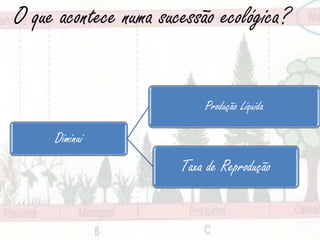 O que acontece numa sucessão ecológica?


                           Produção Líquida

     Diminui
                       Taxa de Reprodução
 