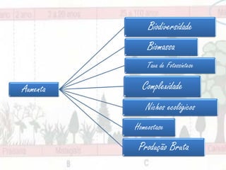 Biodiversidade
              Biomassa
              Taxa de Fotossíntese

Aumenta     Complexidade
             Nichos ecológicos
          Homeostase

           Produção Bruta
 