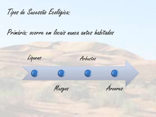 Tipos de Sucessão Ecológica:

Primária: ocorre em locais nunca antes habitados

         Liquens                Arbustos



                     Musgos                 Árvores
 