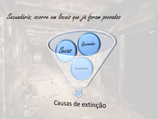 Secundária: ocorre em locais que já foram povoados
 