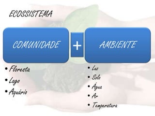 ECOSSISTEMA


   COMUNIDADE   +        AMBIENTE

• Floresta          • Luz
• Lago              • Solo
                    • Água
• Aquário           • Ar
                    • Temperatura
 