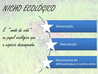 NICHO ECOLÓGICO
                         Alimentação
É “ modo de vida”
ou papel ecológico que
a espécie desempenha        Reprodução



                         Mecanismos de
                         defesa/ataque à outros seres
 