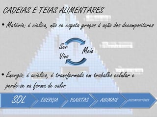 CADEIAS E TEIAS ALIMENTARES
• Matéria: é cíclica, não se esgota graças à ação dos decompositores




• Energia: é acíclico, é transformada em trabalho celular e
  perde-se na forma de calor
    SOL          ENERGIA      PLANTAS       ANIMAIS     DECOMPOSITORES
 