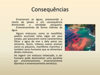 Consequências
     Envenenam as águas, provocando a
morte de peixes e em consequência
diminuindo      a   atividade    pesqueira.
     Envenenamento de forma indireta da
água.
     Alguns moluscos, como os mexilhões
  podem acumular estas algas em seus
  corpos, por possuírem como característica
  filtrar a água do mar e dela extrai seu
  alimento. Assim, intoxica outros animais
  como os pássaros, mamíferos marinhos e
  também seres humanos que se alimentam
  destes moluscos.
  Ao ingerir um molusco intoxicado, o ser
  humano pode desenvolver uma paralisia
  por envenenamento, envenenamento
  diarréico e envenenamento amnésico.
 