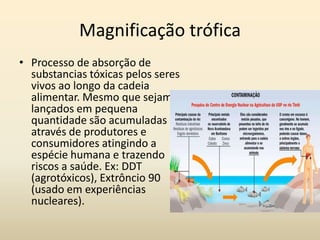 Magnificação trófica
• Processo de absorção de
  substancias tóxicas pelos seres
  vivos ao longo da cadeia
  alimentar. Mesmo que sejam
  lançados em pequena
  quantidade são acumuladas
  através de produtores e
  consumidores atingindo a
  espécie humana e trazendo
  riscos a saúde. Ex: DDT
  (agrotóxicos), Extrôncio 90
  (usado em experiências
  nucleares).
 