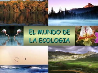 EL MUNDO DE LA ECOLOGIA 
