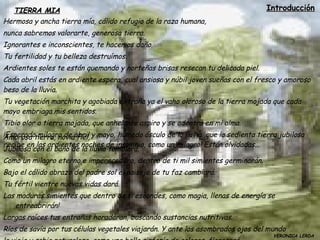 El árbol es quien es...   Los árboles han sido para mi los predicadores mas eficaces. Los respeto cuando viven entre puebl...