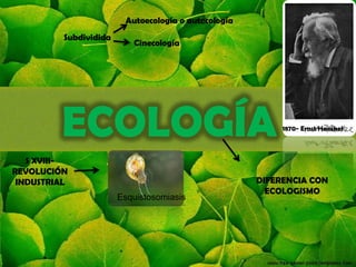 Autoecología o autecología
          Subdividida
                           Cinecología




         ECOLOGÍA                                          1870- Ernst Haeckel



   S XVIII-
REVOLUCIÓN
 INDUSTRIAL                                           DIFERENCIA CON
                                                        ECOLOGISMO
                        Esquistosomiasis
 