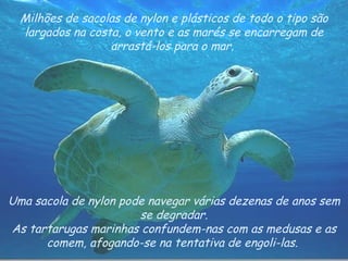 Uma sacola de nylon pode navegar várias dezenas de anos sem se degradar. As tartarugas marinhas confundem-nas com as medusas e as comem, afogando-se na tentativa de engoli-las.  Milhões de sacolas de nylon e plásticos de todo o tipo são largados na costa, o vento e as marés se encarregam de arrastá-los para o mar.  