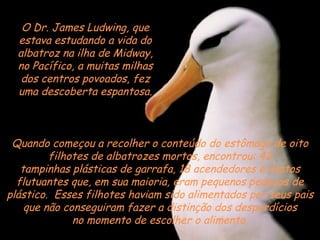 Quando começou a recolher o conteúdo do estômago de oito filhotes de albatrozes mortos, encontrou: 42 tampinhas plásticas de garrafa, 18 acendedores e restos flutuantes que, em sua maioria, eram pequenos pedaços de plástico.  Esses filhotes haviam sido alimentados por seus pais que não conseguiram fazer a distinção dos desperdícios no momento de escolher o alimento. O Dr. James Ludwing, que estava estudando a vida do albatroz na ilha de Midway, no Pacífico, a muitas milhas dos centros povoados, fez uma descoberta espantosa. 