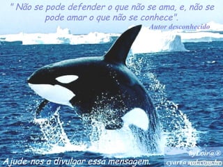 " Não se pode defender o que não se ama, e, não se pode amar o que não se conhece". Autor desconhecido Ajude-nos a divulgar essa mensagem. byLoir@® [email_address] 