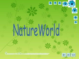 NatureWorld 
