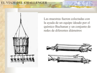 EL VIAJE DEL CHALLENGER Las muestras fueron colectadas con la ayuda de un equipo ideado por el químico Buchanan y un conjunto de redes de diferentes diámetros 