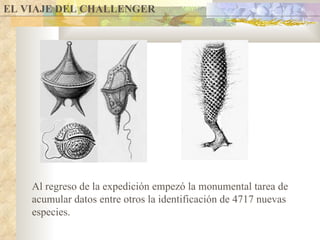 EL VIAJE DEL CHALLENGER Al regreso de la expedición empezó la monumental tarea de acumular datos entre otros la identificación de 4717 nuevas especies. 