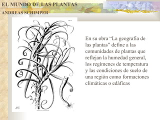 EL MUNDO DE LAS PLANTAS ANDREAS SCHIMPER En su obra “La geografía de las plantas” define a las comunidades de plantas que reflejan la humedad general, los regímenes de temperatura y las condiciones de suelo de una región como formaciones climáticas o edáficas 