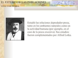 EL ESTUDIO DE LAS POBLACIONES  VITO VOLTERRA Estudió  las relaciones depredador-presa, tanto en los ambientes naturales como en la actividad humana (por ejemplo, en el caso de la pesca excesiva).  Sus estudios fueron complementados por Alfred Lotka. 