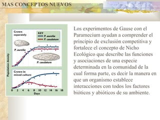 MAS CONCEPTOS NUEVOS  Los experimentos de Gause con el Paramecium ayudan a comprender el principio de exclusión competitiva y fortalece el concepto de Nicho Ecológico  que describe las funciones y asociaciones de una especie determinada en la comunidad de la cual forma parte, es decir la manera en que un organismo establece interacciones con todos los factores bióticos y abióticos de su ambiente.  