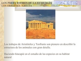 LOS PRECURSORES DE LA ECOLOGÍA LOS ORIGENES - GRECIA Los trabajos de Aristóteles y Teofrasto son pionero en describir la estructura de los animales con gran detalle. Haciendo hincapié en el estudio de las especies en su habitat natural 