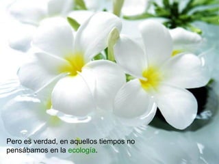 Pero es verdad, en aquellos tiempos no
pensábamos en la ecología.
 