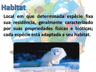 Local em que determinada espécie fixa
sua residência, geralmente caracterizado
por suas propriedades físicas e bióticas;
cada espécie está adaptada a seu habitat.
 