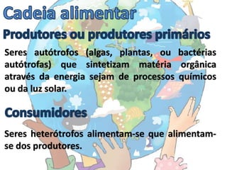 Seres autótrofos (algas, plantas, ou bactérias
autótrofas) que sintetizam matéria orgânica
através da energia sejam de processos químicos
ou da luz solar.



Seres heterótrofos alimentam-se que alimentam-
se dos produtores.
 