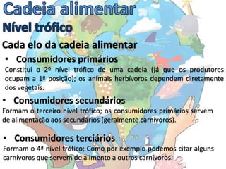 Cada elo da cadeia alimentar
• Consumidores primários
Constitui o 2º nível trófico de uma cadeia (já que os produtores
ocupam a 1ª posição); os animais herbívoros dependem diretamente
dos vegetais.
• Consumidores secundários
Formam o terceiro nível trófico; os consumidores primários servem
de alimentação aos secundários (geralmente carnívoros).

• Consumidores terciários
Formam o 4ª nível trófico; Como por exemplo podemos citar alguns
carnívoros que servem de alimento a outros carnívoros.
 