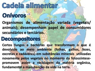 Organismos de alimentação variada (vegetais/
animais); desempenham papel de consumidores
secundários e terciários.

Certos fungos e bactérias que transformam o que é
devolvido ao meio ambiente (folhas, galhos, fezes,
excretas e cadáveres) em substâncias minerais utilizadas
novamente pelos vegetais no momento da fotossíntese-
promovem assim a reciclagem da matéria orgânica,
fundamental a manutenção da vida na terra.
 