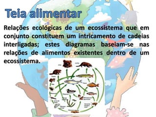 Relações ecológicas de um ecossistema que em
conjunto constituem um intricamento de cadeias
interligadas; estes diagramas baseiam-se nas
relações de alimentos existentes dentro de um
ecossistema.
 