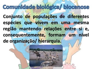 Conjunto de populações de diferentes
espécies que vivem em uma mesma
região mantendo relações entre si e,
consequentemente, formam um nível
de organização/ hierarquia.
 