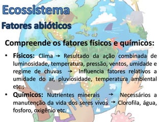 Compreende os fatores físicos e químicos:
• Físicos: Clima       Resultado da ação combinada de
  luminosidade, temperatura, pressão, ventos, umidade e
  regime de chuvas           Influencia fatores relativos a
  umidade do ar, pluviosidade, temperatura ambiental
  etc.;
• Químicos: Nutrientes minerais              Necessários a
  manutenção da vida dos seres vivos        Clorofila, água,
  fosforo, oxigênio etc.
 
