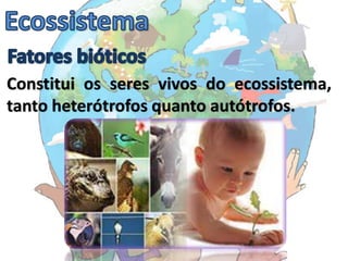 Constitui os seres vivos do ecossistema,
tanto heterótrofos quanto autótrofos.
 